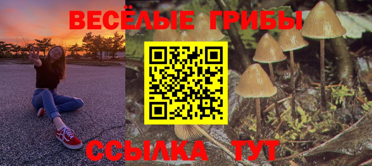 Родники  Галлюциногенные грибы мухоморы  Галлюциногенные грибы GOLDEN TEACHER  Вход с VPN 
