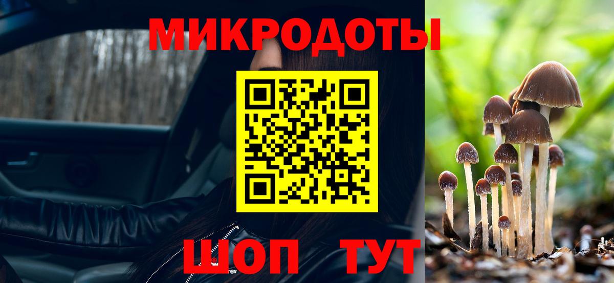 Галлюциногенные грибы мицелий Родники
